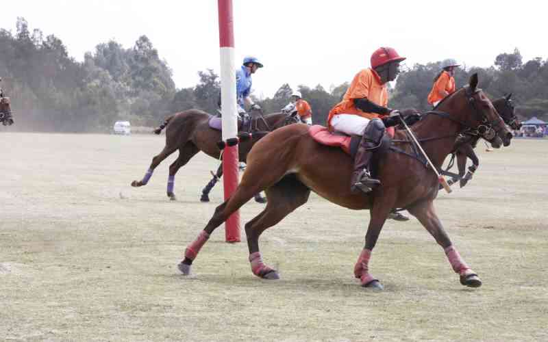 Camm's steady rise in local and international championships