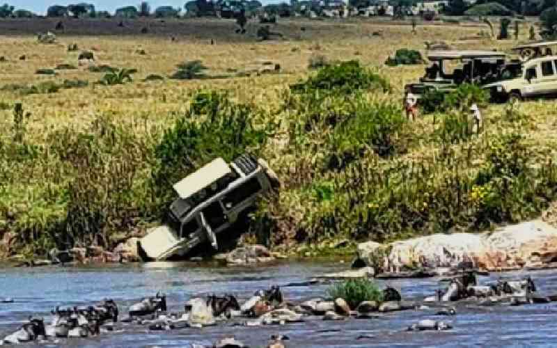 Safari vehicle plunges into Mara River during wildebeest migration