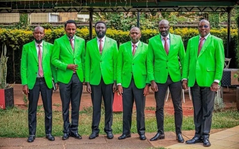 PHOTOS: DCP-allied senators don matching green blazers at Parliament after Ol-Kalou victory