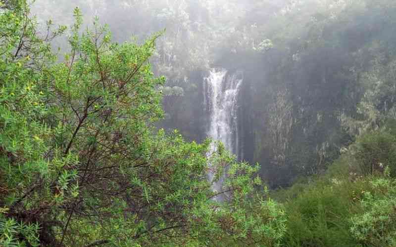 The dreamy Aberdare