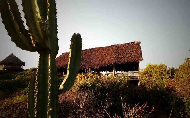 From Ngare Ndare to Malka Mari, the unsung travel destinations