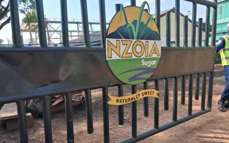 Government told to stop illegal sugar imports