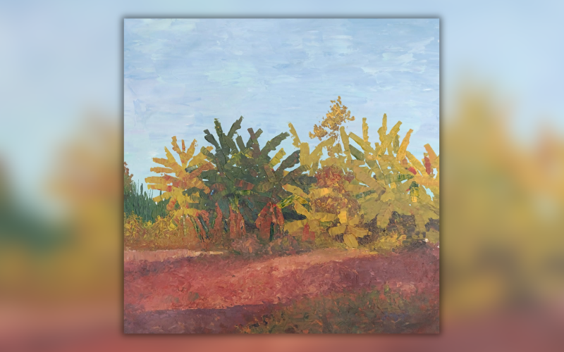 Pulse of Dirt: Three artists explore conservation, coexistence in fresh exhibition