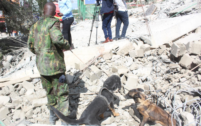 PHOTOS: Collapsed South C building was among projects flagged, warnings ignored