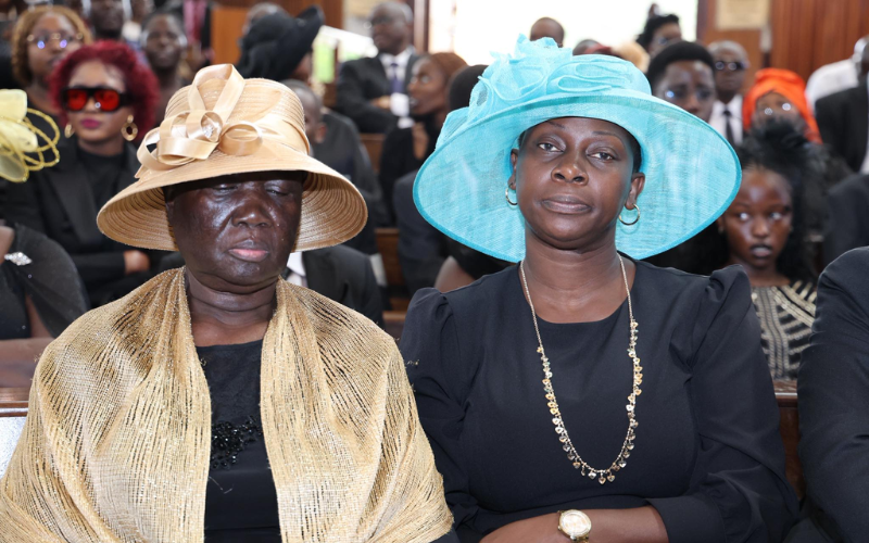 Dalmas Otieno's young wife says he snatched her from Koffi Annan