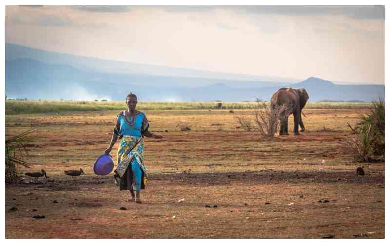 Can science predict Africa's next human-elephant conflict?