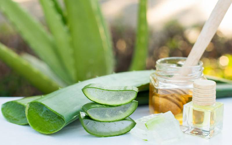 Aloe vera slows ageing, constipation - The Standard Health