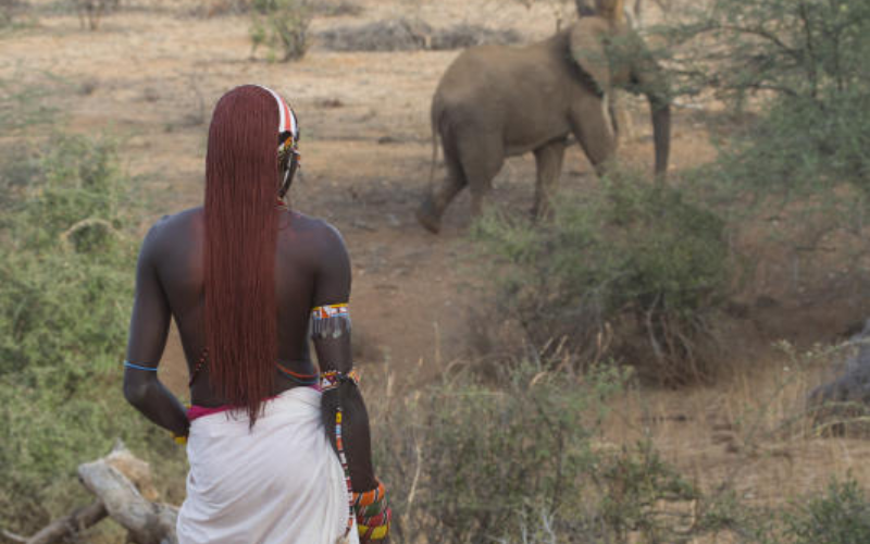 A first-timer's journey to Samburu