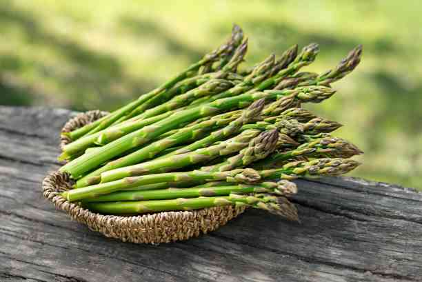 business plan for asparagus farming