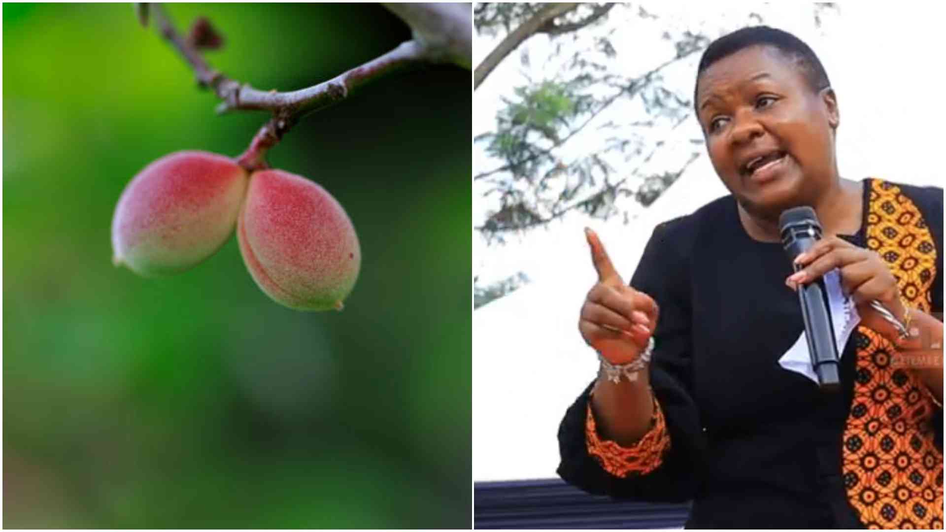 Kisii woman rep calls for stiffer penalties against sexual offenders: 'Wakatwe matunda'