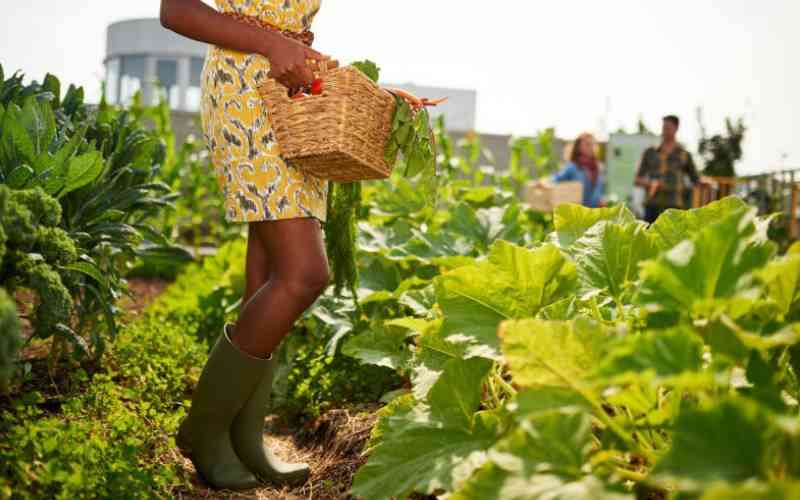 Rise of impact investing: Make money helping communities      