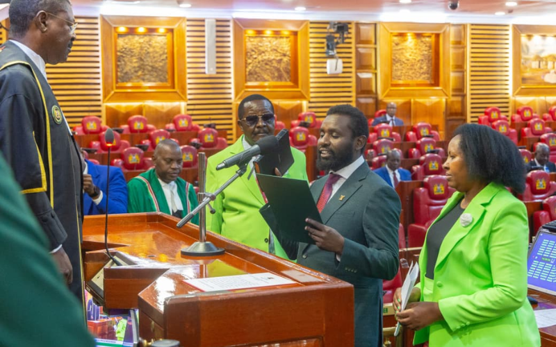 DCP-allied MPs paint Parliament green during Ol-Kalou's Sammy Kamau takes oath