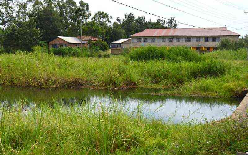 Los humedales son clave para mitigar los efectos de las inundaciones