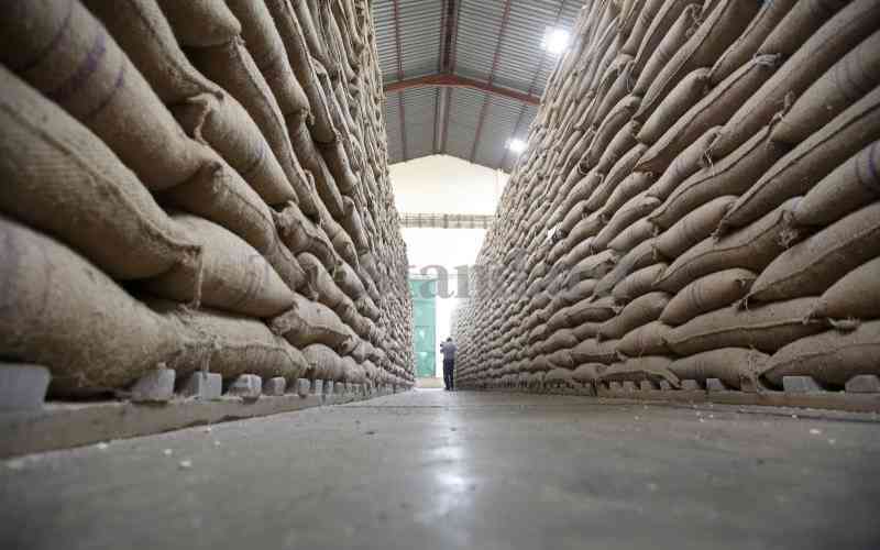 The making of Kenya's first maize import scandal The Standard