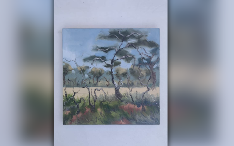 Pulse of Dirt: Three artists explore conservation, coexistence in fresh exhibition