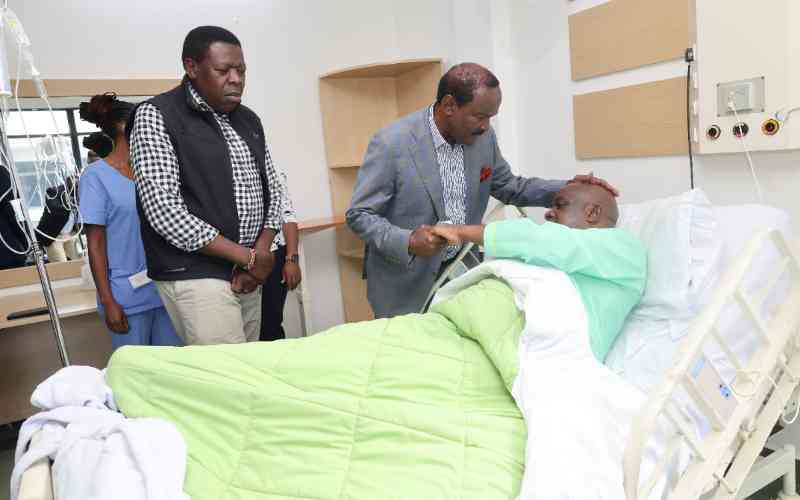 Empire of goons: Anarchy as assailants join political supremacy battles in Nyanza