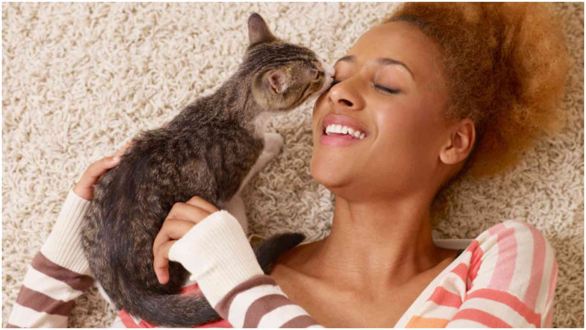 Why more urban Kenyan families are treating pets like their own children