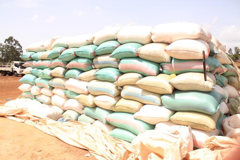 Búsqueda desesperada de maíz barato en el extranjero mientras los silos se agotan en Kenia ahora