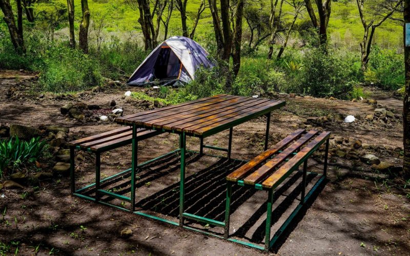 African peace conference blends traditional royalty, outdoor restoration at PEC Nature Park