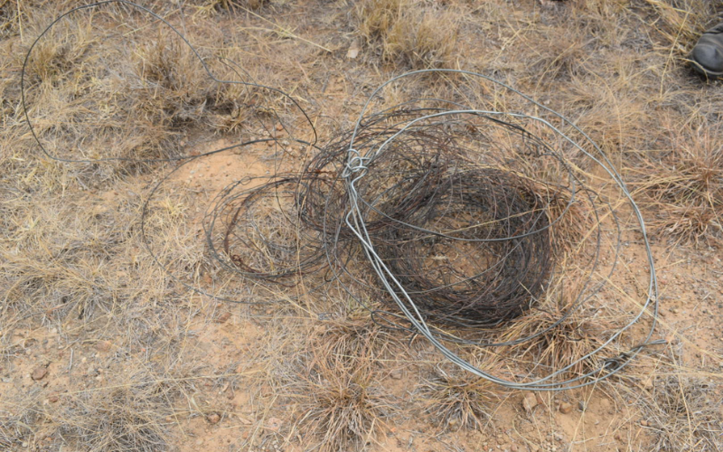 The hands silently battling Kenya's poaching crisis