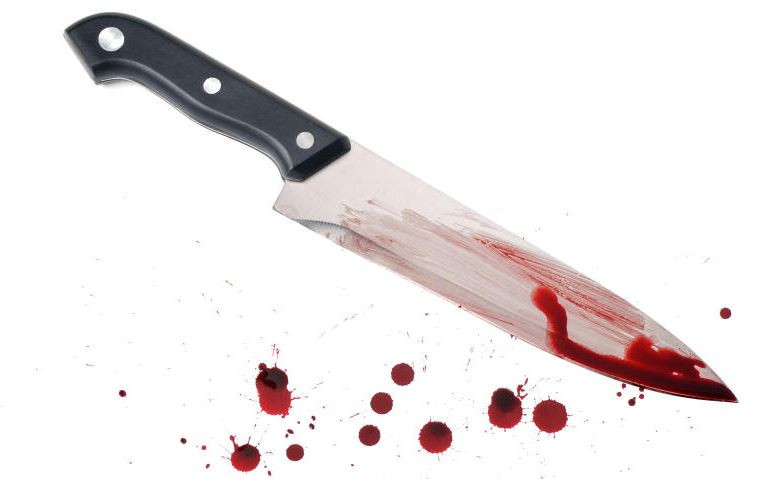 5-year-old testifies against mother's lover after witnessing fatal stabbing