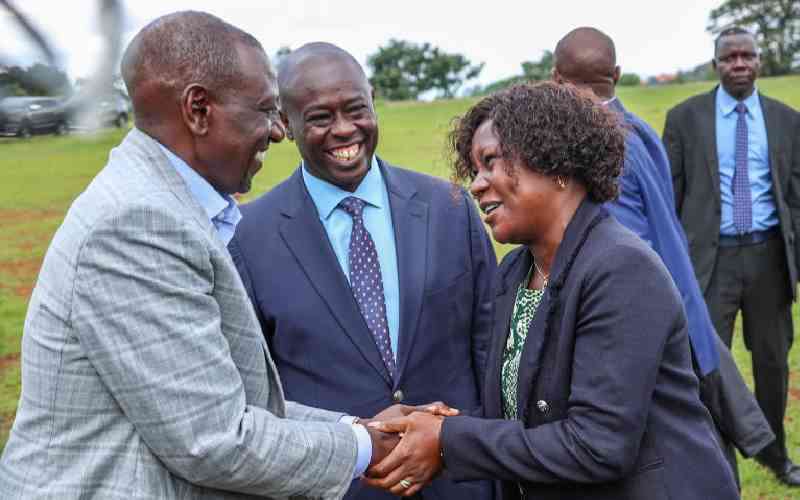 New 30pc tax on housing material imports on the way, says Ruto