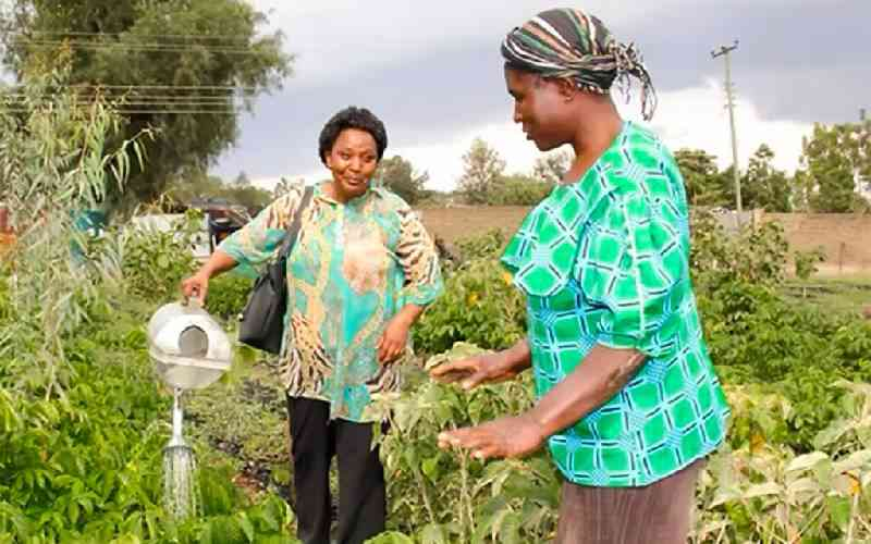Going green: Christine Wangari's dream for a green Nairobi