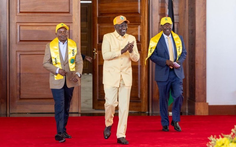 PHOTOS: Gathoni Wamuchomba attends UDA NGC meeting, hours after slamming Gachagua