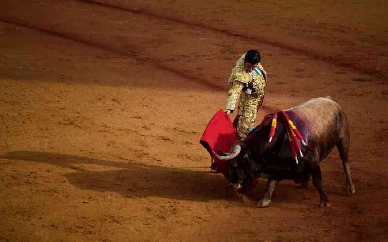 España cancela el premio nacional de toreo, generando polémica