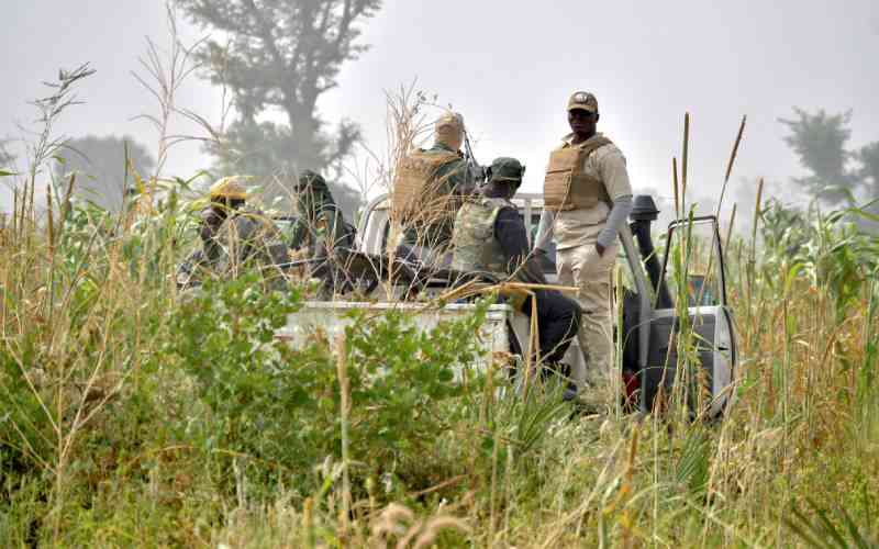 Terror in Nigeria: Gang Abducts Bride, Bridesmaids, and 12 Others in Mass Kidnapping