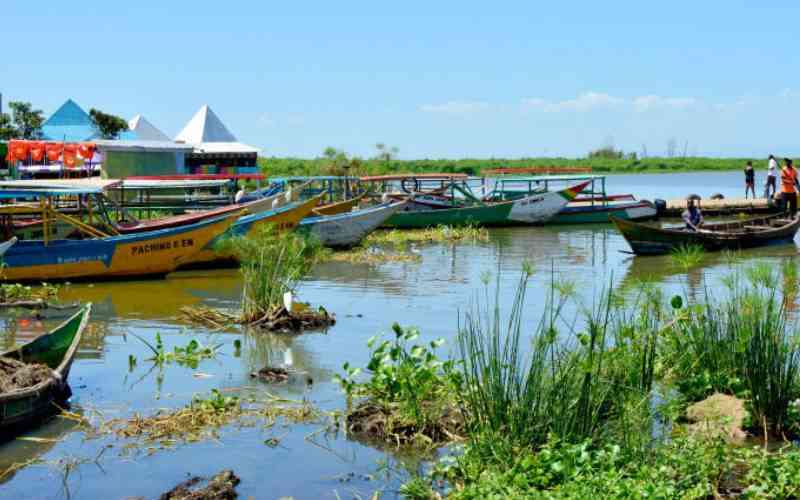 Lake Victoria's choking crisis: How pollution is turning Winam Gulf into a stinking hazard