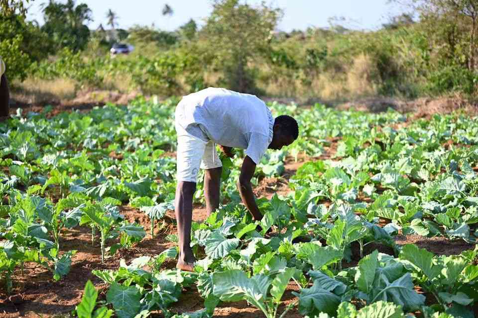 WhatsApp Image 2024-11-30 at 17.31.52_ed8fb901.jpg