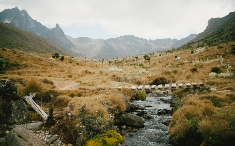 The Last Ones: Film exhibition captures Mt Kenya's fading glaciers