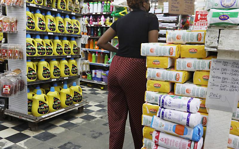 Mystery Of Growth Amidst Pain For Households Individual Consumers The Standard
