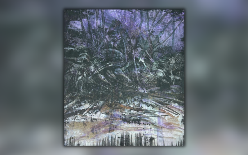 Ephemerals: Art exhibition explores life moments through colour, nature and memory