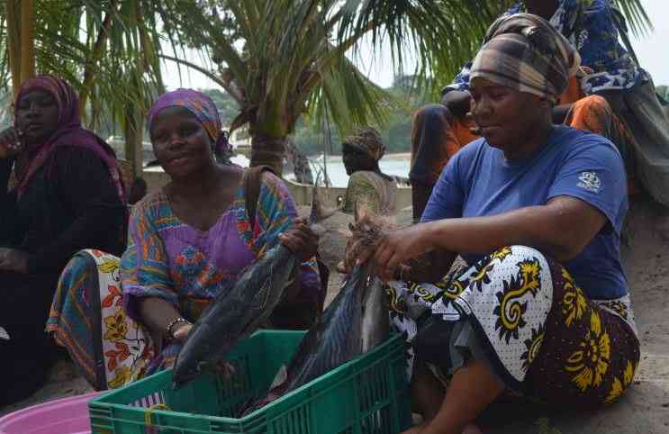 Caught in the trap: The dangerous cycle of exploitation behind the sex for fish culture