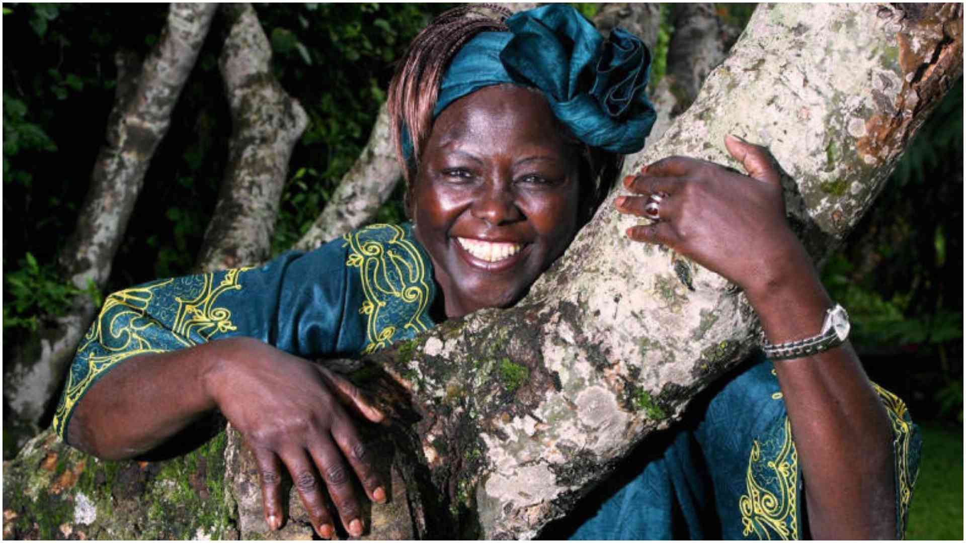 Mexico's president Claudia Sheinbaum's groping incident mirrors global struggle of women in leadership