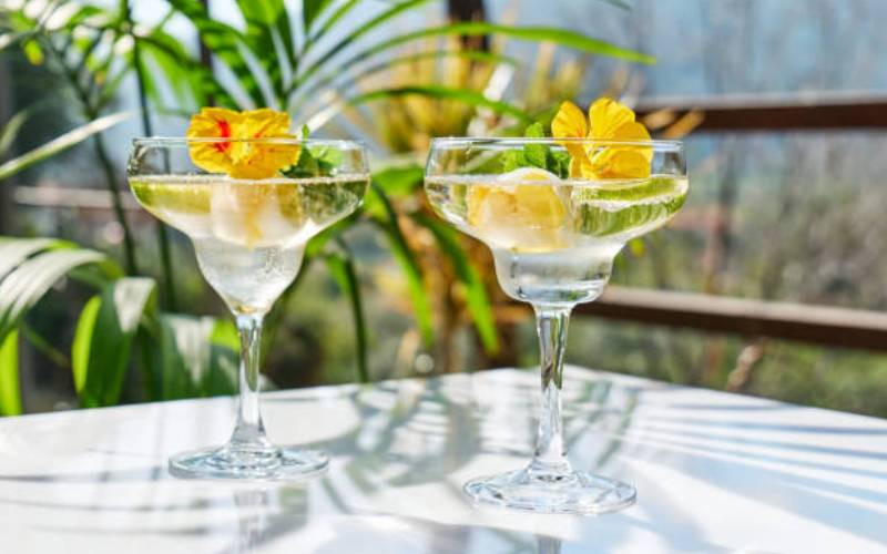 Cocktail bar: Chamomile cordial 