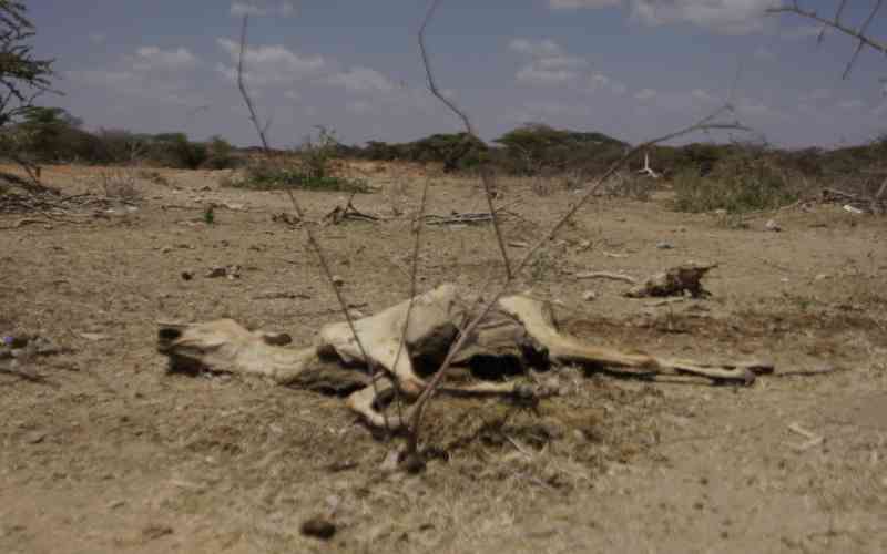 Biting hunger keeps learners out of school in Isiolo