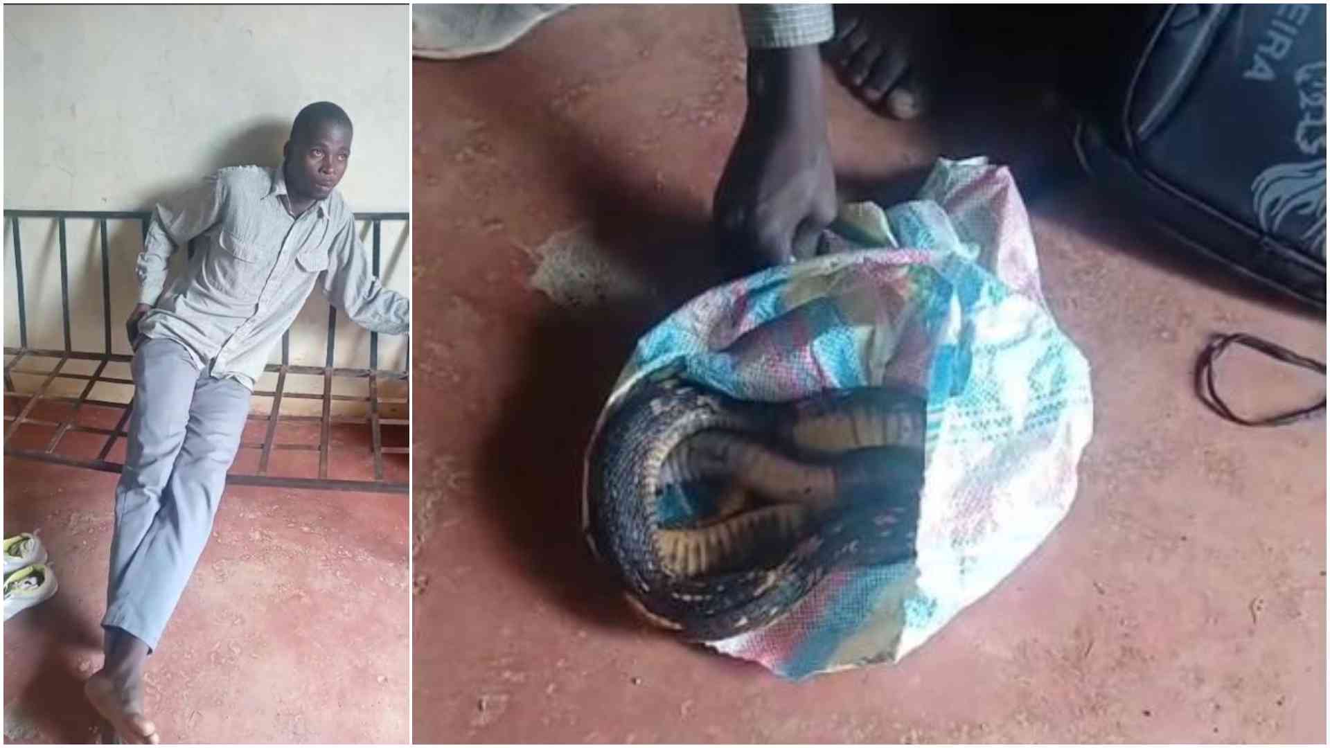 Sssssscripture: Rise of snake rituals in Kenyan churches