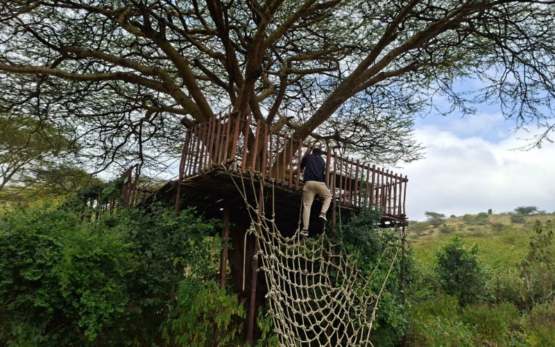 African peace conference blends traditional royalty, outdoor restoration at PEC Nature Park