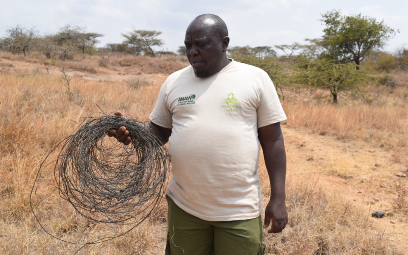 The hands silently battling Kenya's poaching crisis