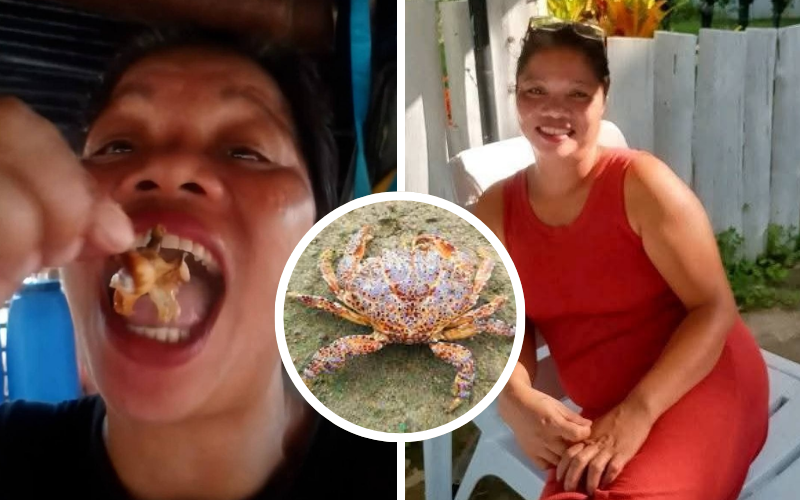 Popular TikTok influencer dies after eating toxic 'devil crab' for content