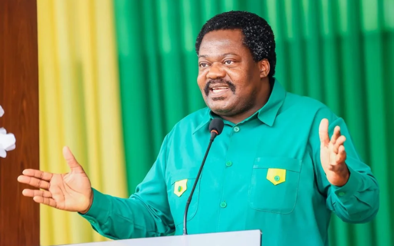 Tanzania Vice President Emmanuel Nchimbi resigns, retires from politics