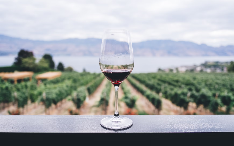 Why wine costs up to six times more in Kenya than in South Africa