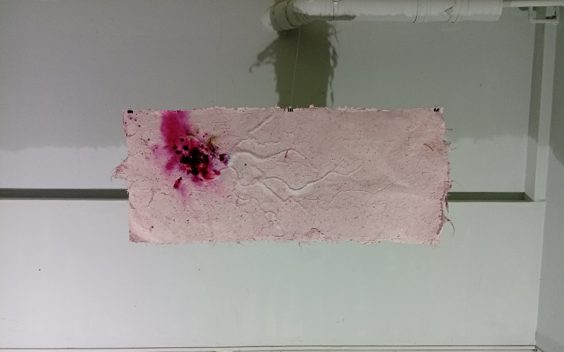 'The Unfurling of My Abject Rage' exhibition delves deep into emotions of rage