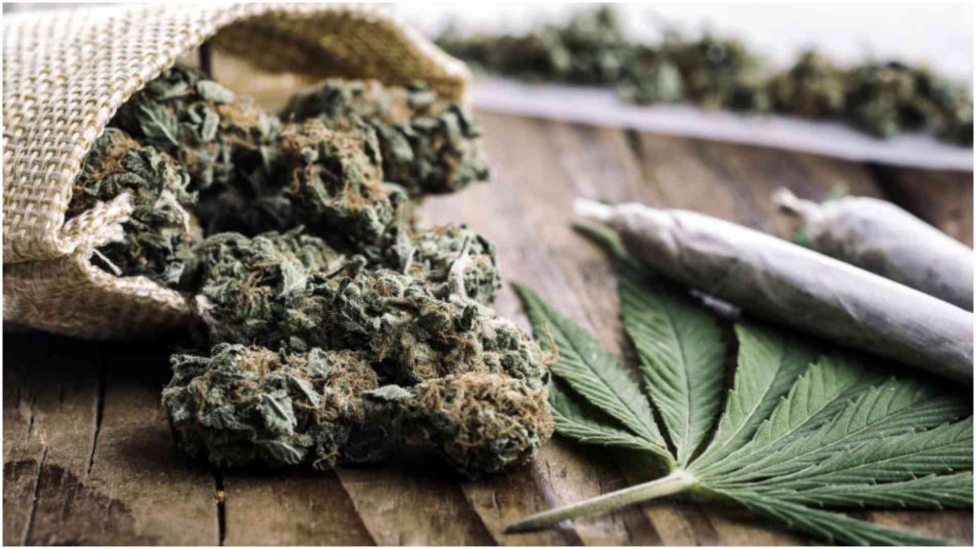 Ganja land: Sleepy Luanda market where marijuana and gangs define daily life