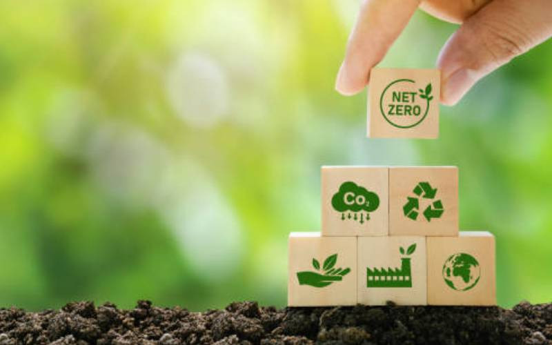Why some firms kept sustainability commitments, and others ...