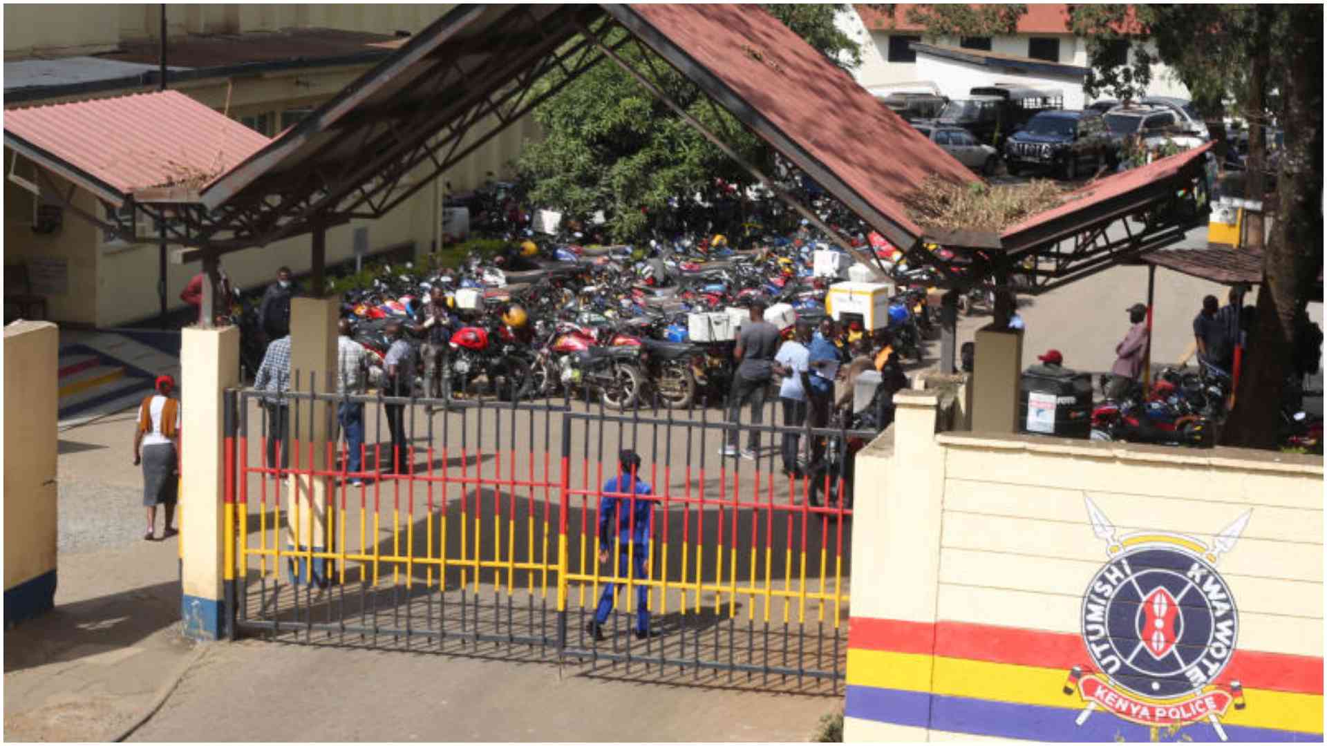 'Why did they kill my only child?': Albert Ojwang's mother cries bitterly