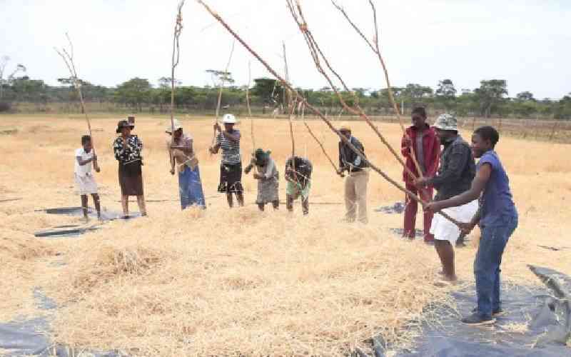 Los agricultores de Zimbabwe se preparan para la sequía a medida que comienza la nueva temporada agrícola